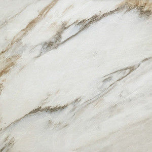 60x60cm Marble Porcelain Tiles , Colors Glazed Porcelain Floor Tile